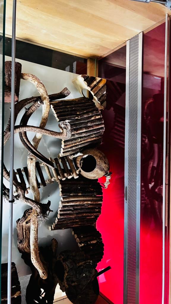 Glazen hamsterkooi, Kooi, Gebruikt, Muis, 75 tot 110 cm