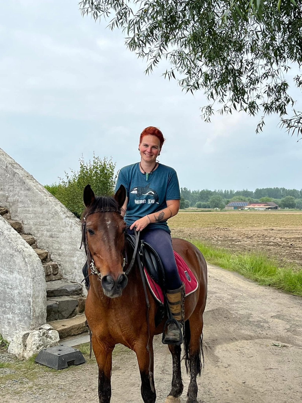 Zeer lief en bombroof paard (coaching), Dieren en Toebehoren, Ruin