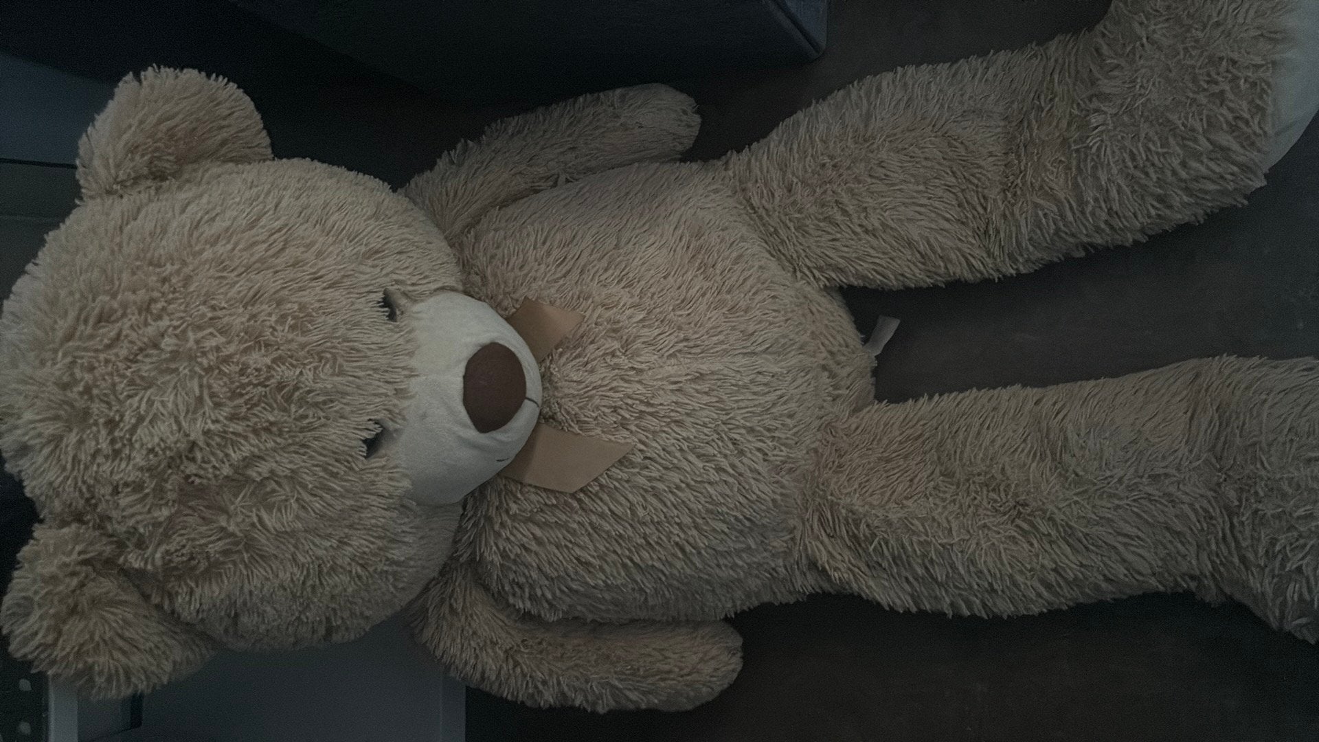 Knuffelbeer, Enlèvement ou Envoi, Comme neuf, Moyen (20 à 80 cm), Ours