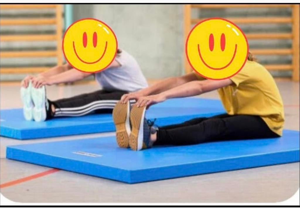 TAPIS DE SPORT PROFESSIONNELS, Enlèvement, Comme neuf