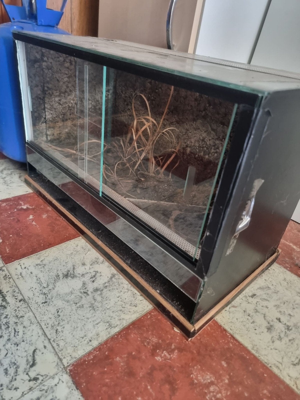 kleine terrarium, Ophalen