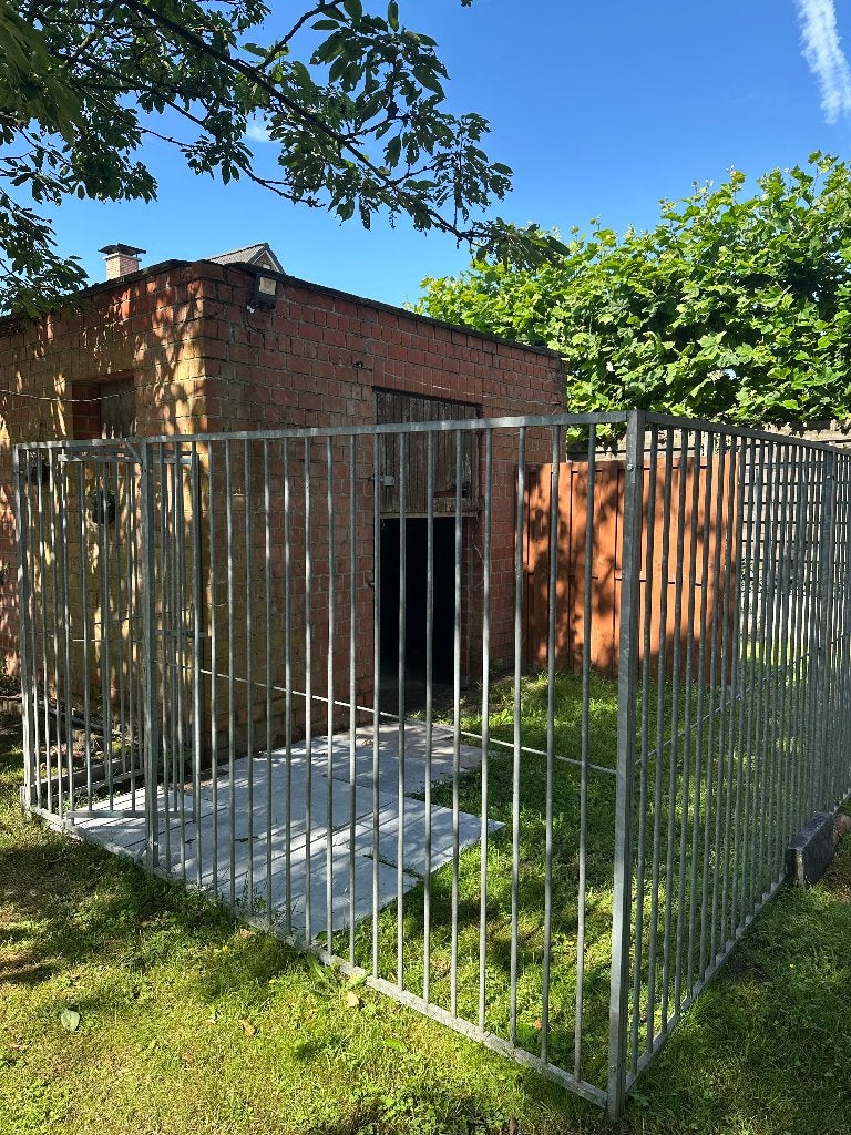 Hondenkennel, Ophalen, Hondenkennel, 110 cm of meer, 100 cm of meer