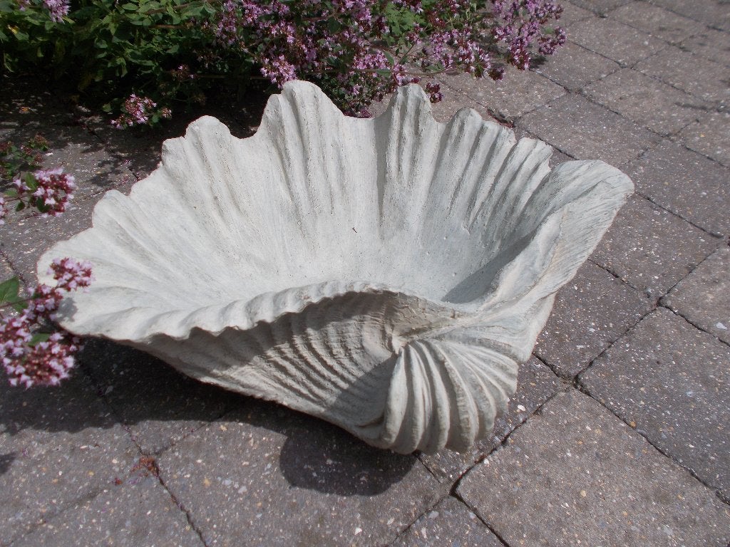 Vogelbad/plantenbak enz grote schelp, Tuin en Terras, Vogelhuisjes en Vogelbaden, Ophalen of Verzenden, Gebruikt