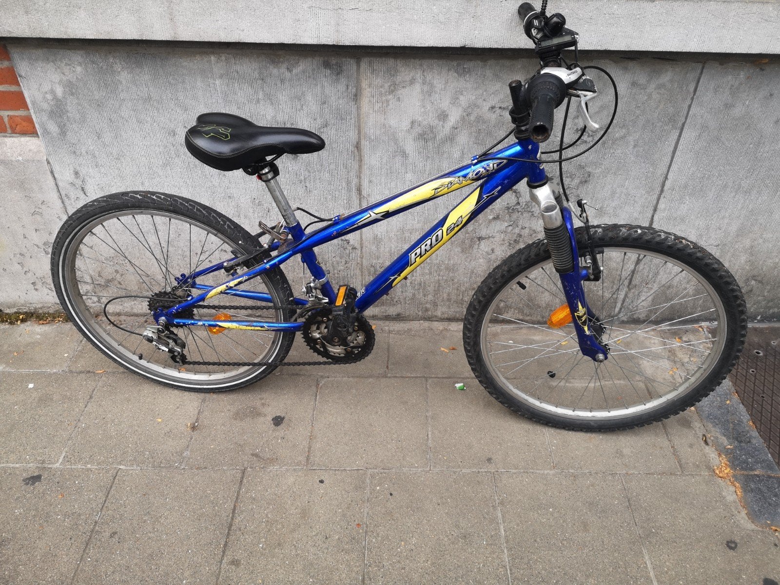 24 inch mountainbike voor kinderen, Fietsen en Brommers, Ophalen