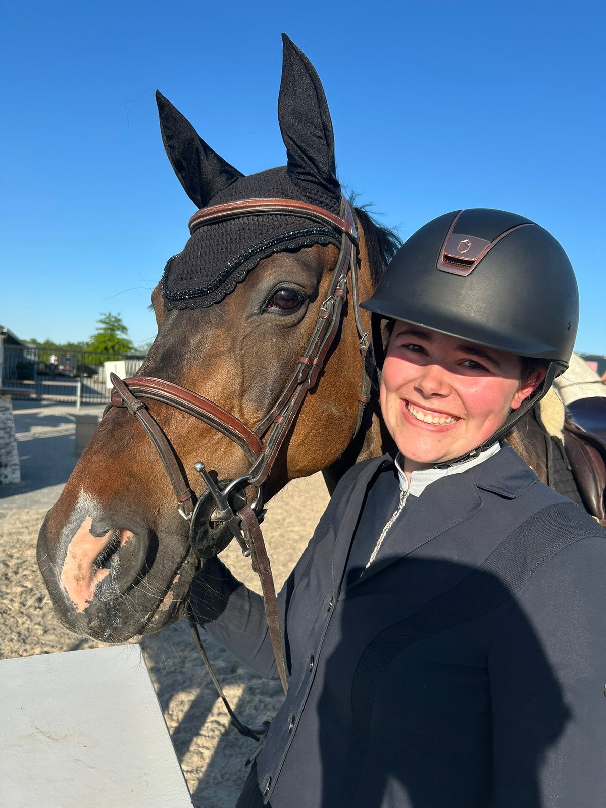 (Jonge) paardentraining, Dieren en Toebehoren, Paarden, B