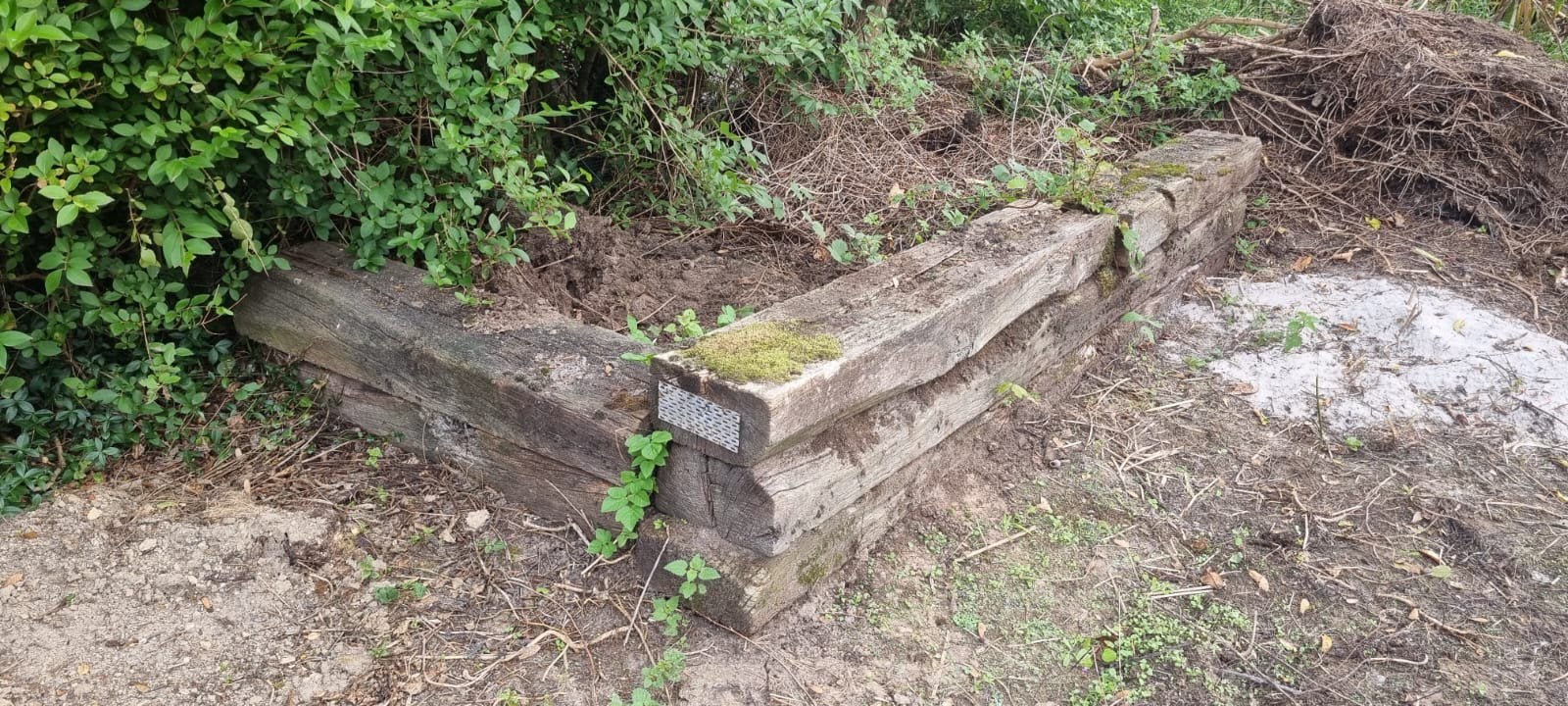 Gratis treinbielzen, Ophalen, Gebruikt, Hout, Biels
