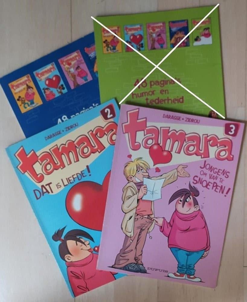 strips Tamara, Boeken, Ophalen of Verzenden