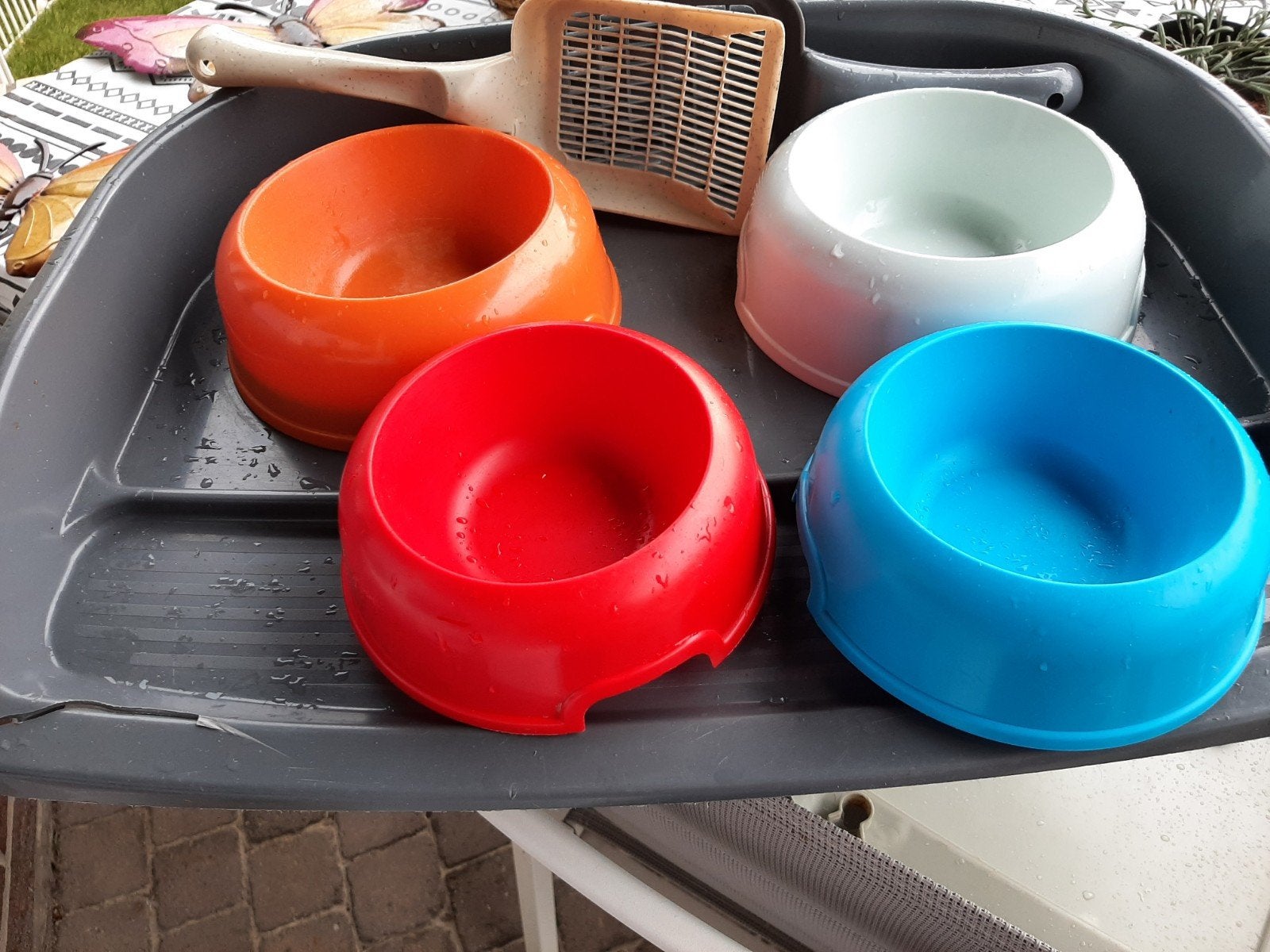 Fournitures pour chats : pour la nourriture., Enlèvement