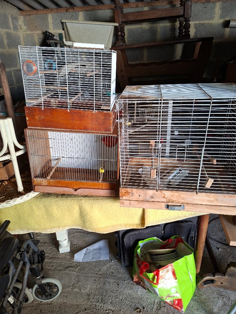Cage à oiseaux, Enlèvement, Utilisé, Cage à oiseaux