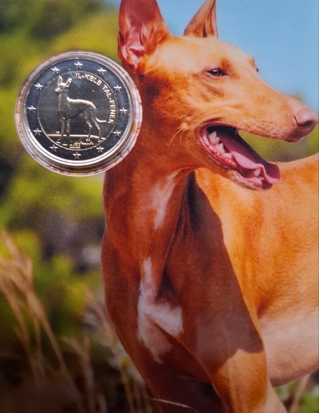 Malta- 2 euro 2026 - Pharao-hond, Ophalen of Verzenden, Malta, 2 euro