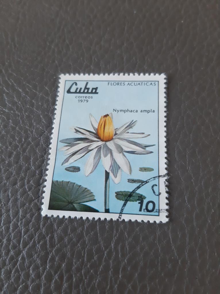 Cuba 1979 Witte waterlelie, Ophalen of Verzenden, Gestempeld