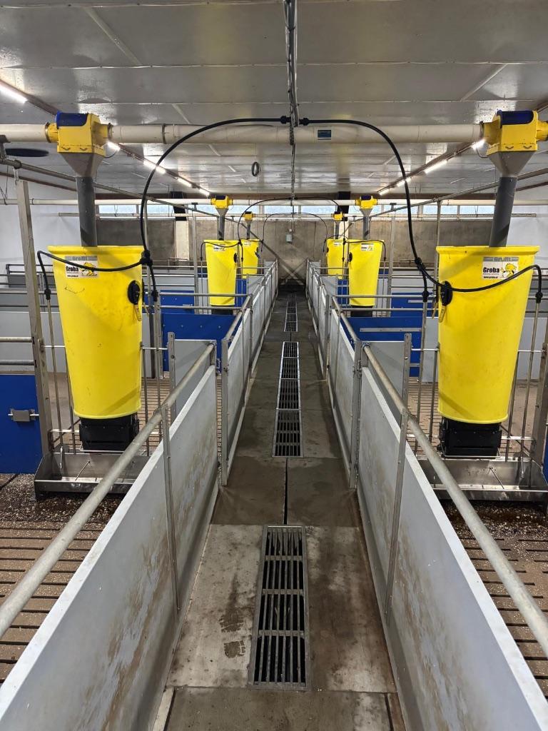 Hokinrichting voor vleesvarkens [270], Dieren en Toebehoren, Stalling en Weidegang
