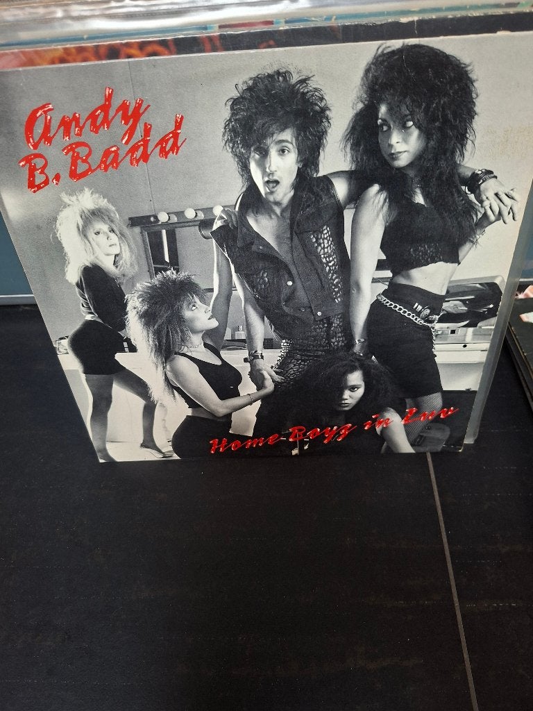 12" - andy b.badd - home boyz in luv - vak 10, Cd's en Dvd's, Rock, Ophalen of Verzenden, Zo goed als nieuw, 12 inch