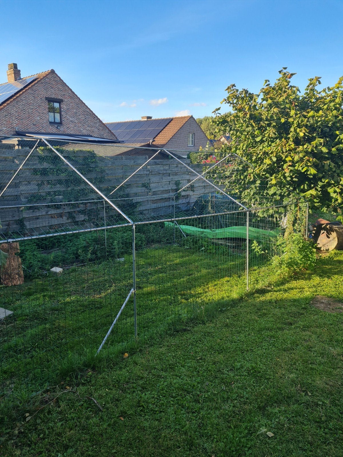 enclos à poule 8x3 m, Animaux & Accessoires, Enlèvement