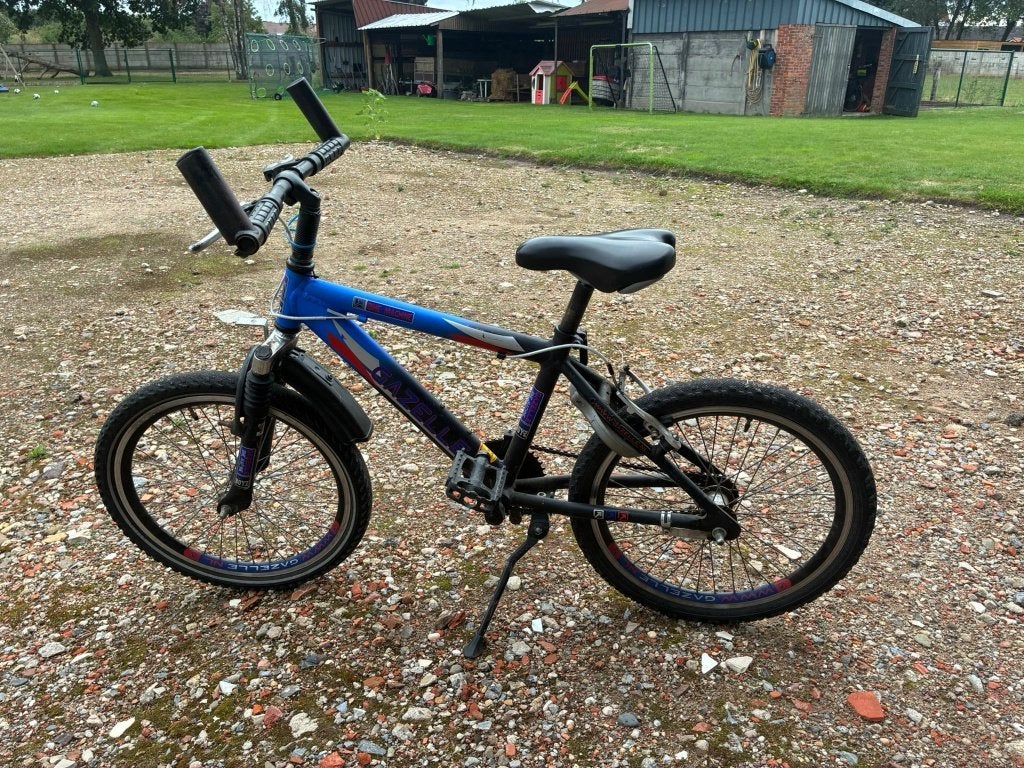 Kinderfiets 20 inch met werk, Ophalen
