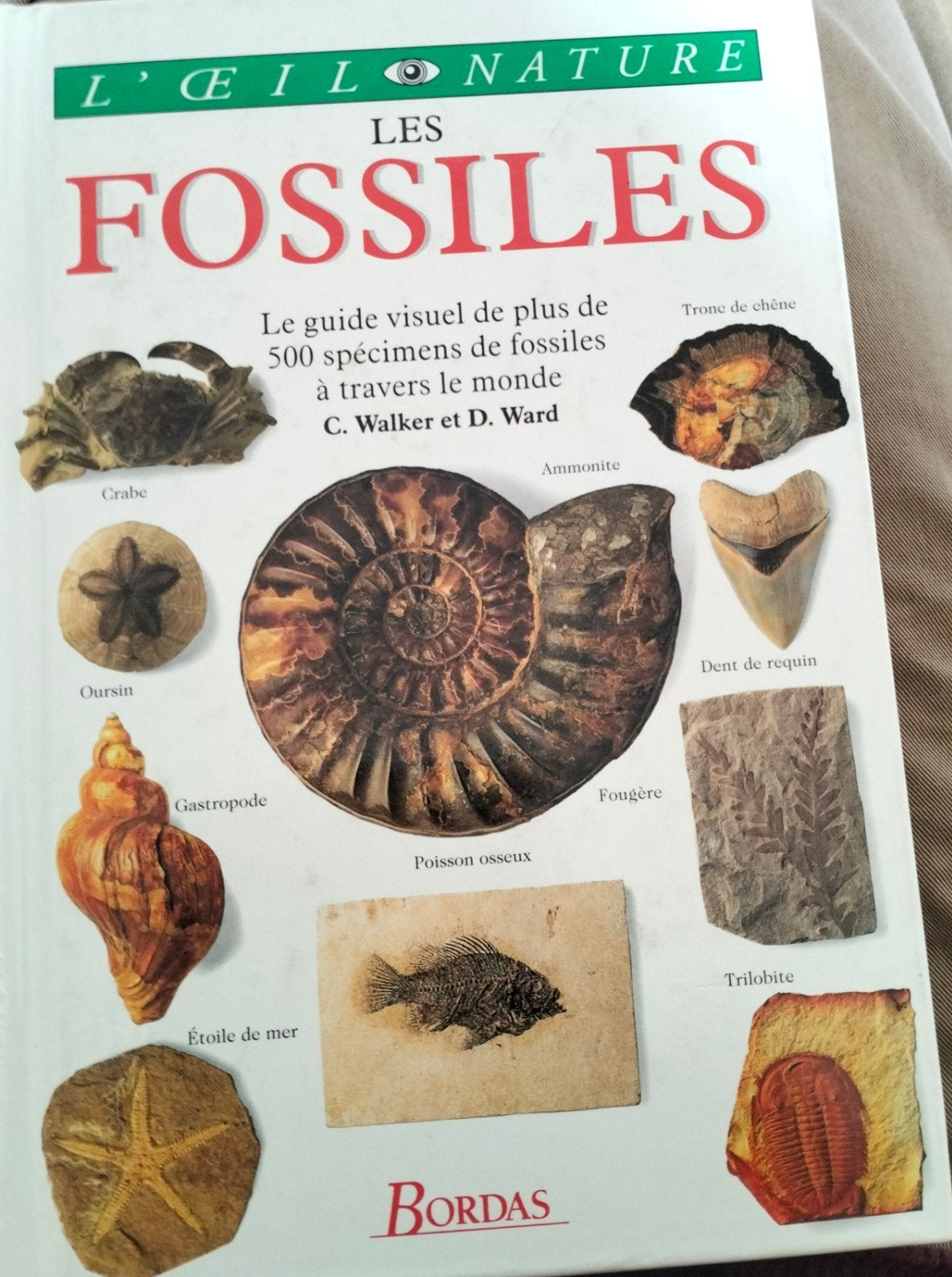 Les fossiles. L'œil Nature. Guide visuel, Livres, Enlèvement ou Envoi