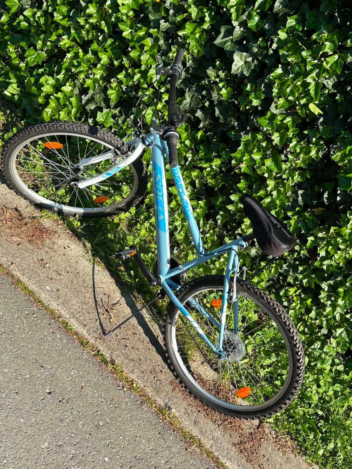 Mountainbike in Sofia, Ophalen