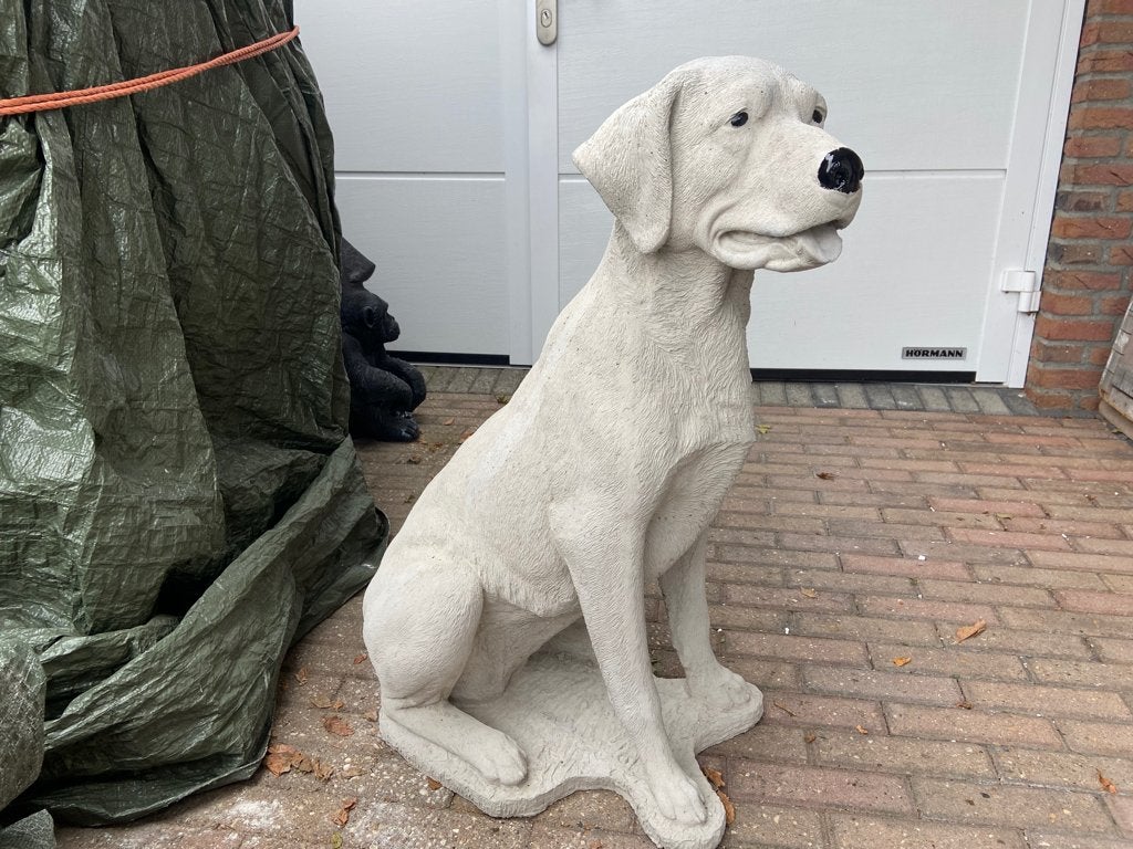 Labrador Retriever, hoogte 85cm, Tuin en Terras, Tuinbeelden, Ophalen, Nieuw, Beton, Dierenbeeld