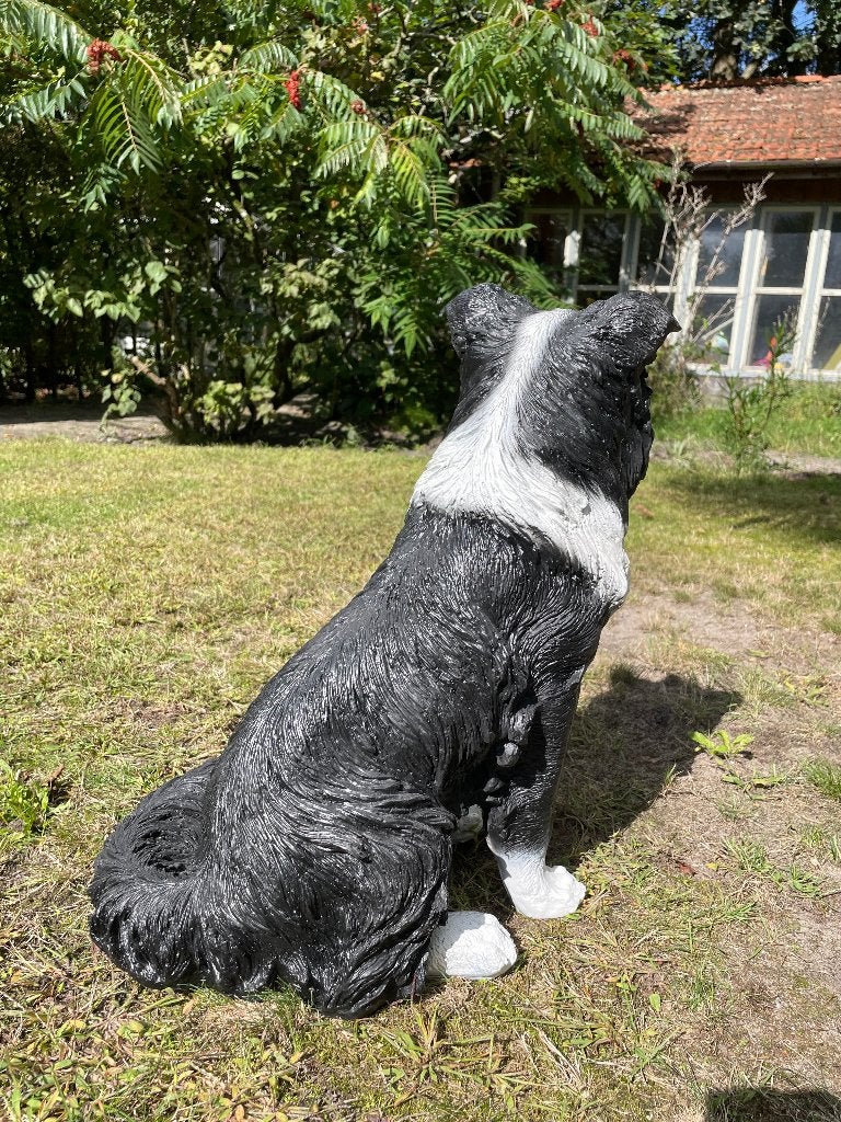(Tuin)beeld Bordercollie, hond, tuin, kennel 50cm, Ophalen, Nieuw, Kunststof, Dierenbeeld