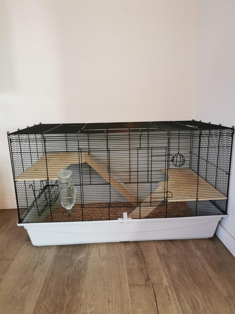 Cavia kooi met toebehoren. L 99cm B 53.5cm H 57cm, Ophalen, Kooi, Cavia