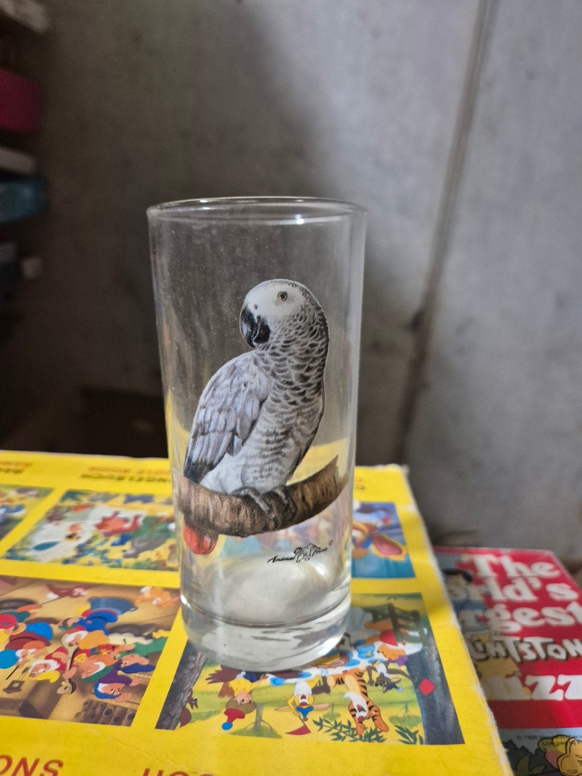 Glas grijze roodstaart papegaai, Collections, Collections Autre, Envoi