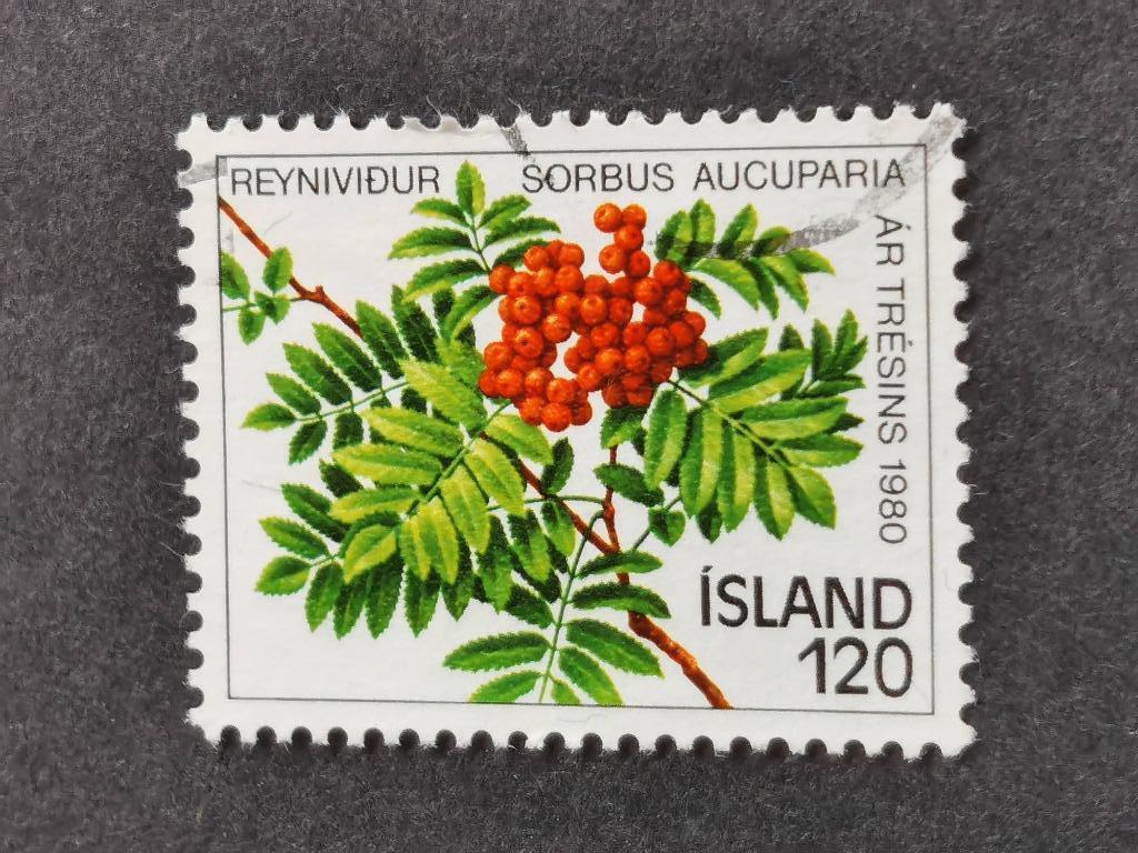 Ijsland 1980 - Jaar van de boom - lijsterbes, Postzegels en Munten, Postzegels | Europa | Scandinavië, Ophalen of Verzenden, IJsland
