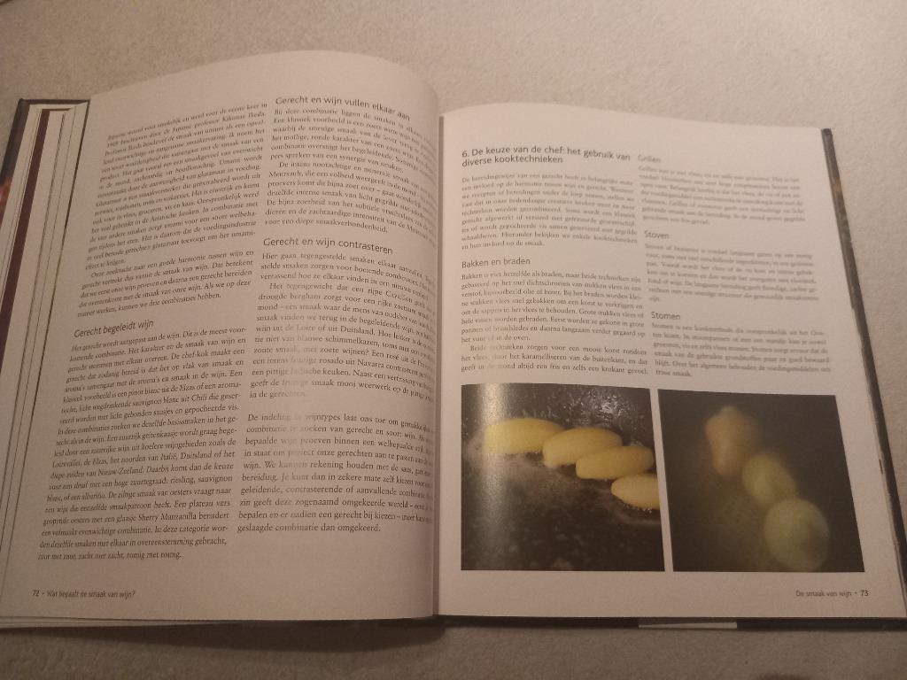 Boek De Smaak van Wijn Wine pairing Vinologie Oenologie, Ophalen of Verzenden, Zo goed als nieuw