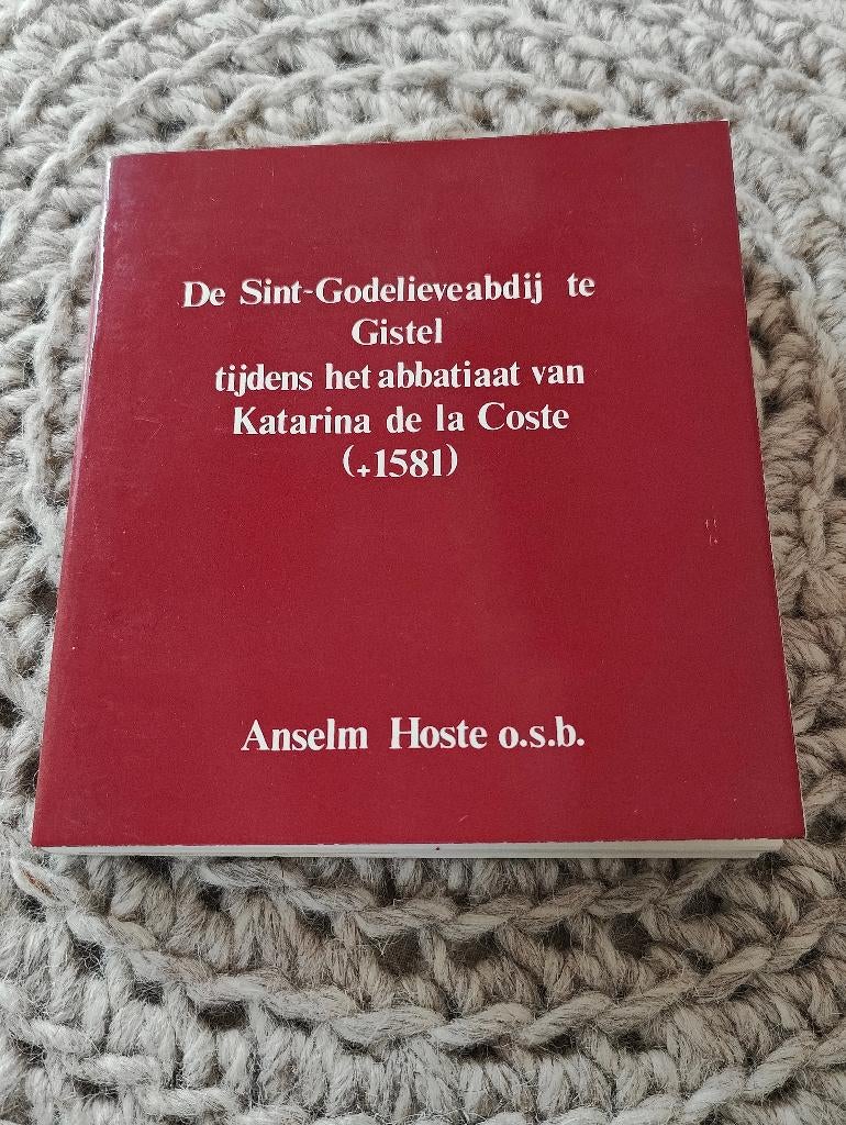 De Sint-Godelieve abdij te Gistel - Anselm Hoste, Boeken, Ophalen of Verzenden, Zo goed als nieuw