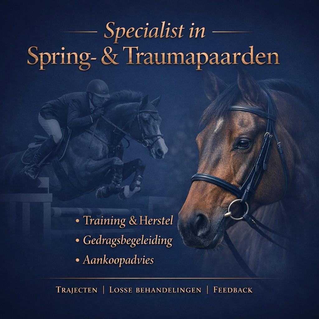 Osteopaat voor paarden, Dieren en Toebehoren, Paarden