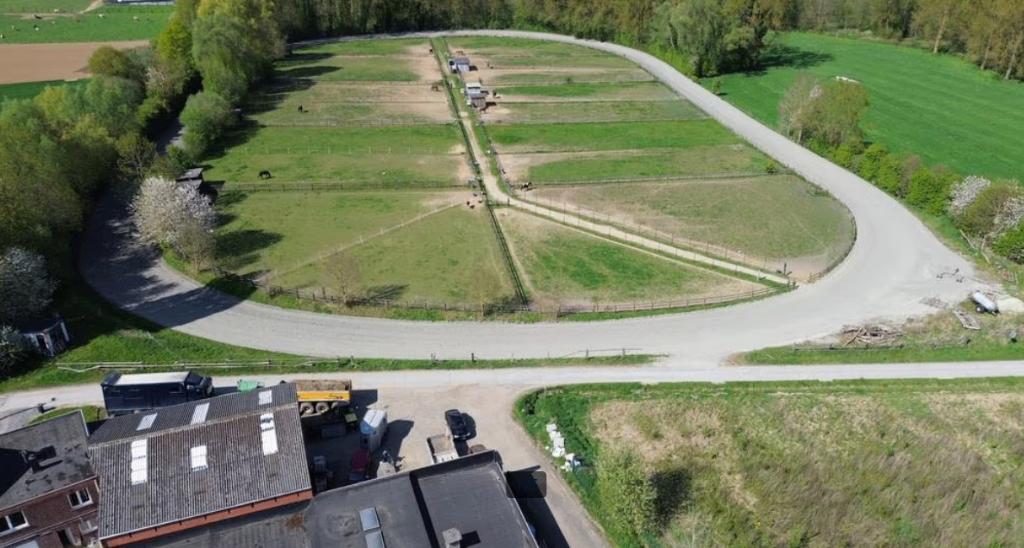 Lege stallen te huur, Weidegang, 2 of 3 paarden of pony's