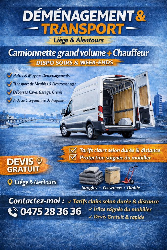 Camionnette grand volume + chauffeur – Liège & alentours, Particulier, Achat