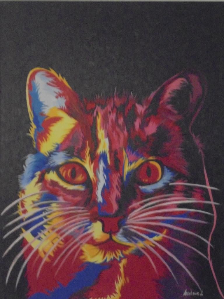 olieschilderij popart portret kat 2 (60x80 cm), Ophalen of Verzenden