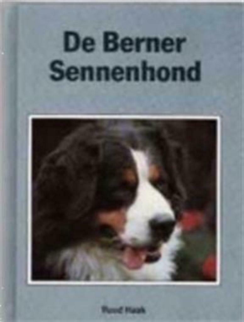 De Berner Sennenhond, Ruud Haak, Enlèvement ou Envoi, Utilisé, Chiens