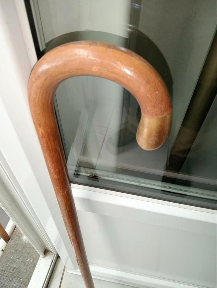 Canne . corne . 90 cm, Enlèvement ou Envoi