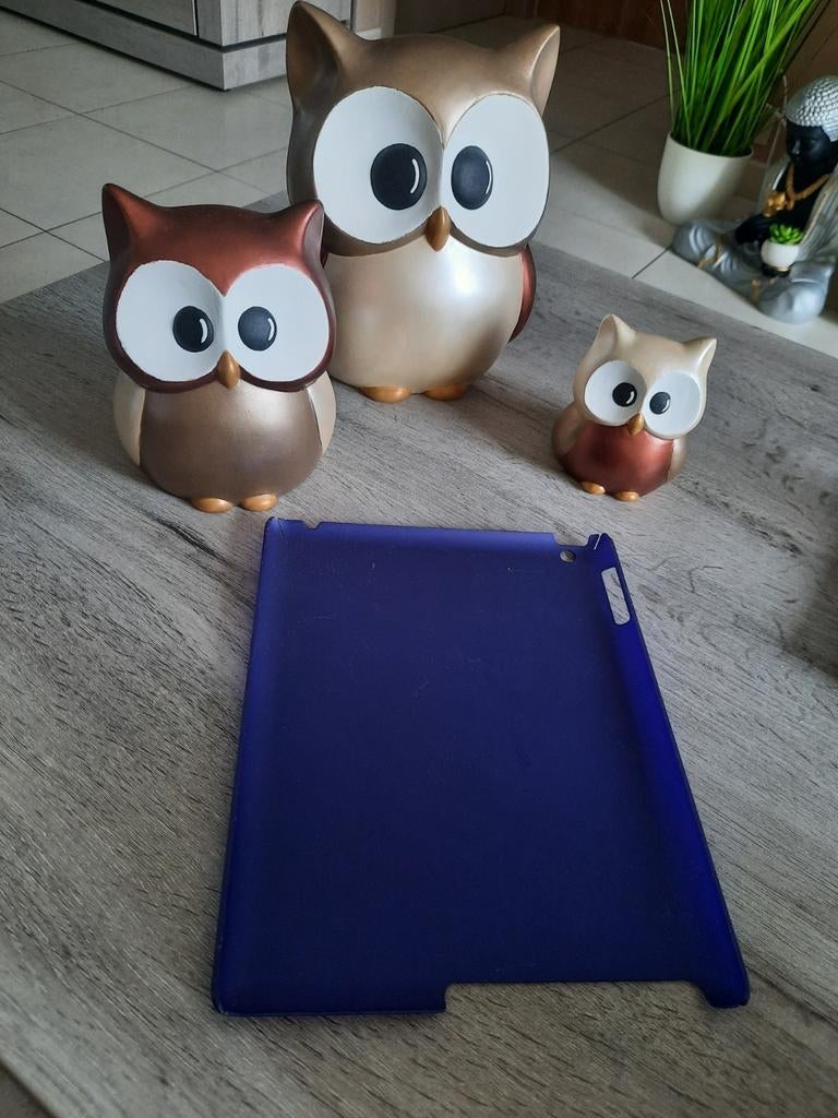 Tablet/iPad hoes/cover, Computers en Software, Ophalen of Verzenden, Zo goed als nieuw