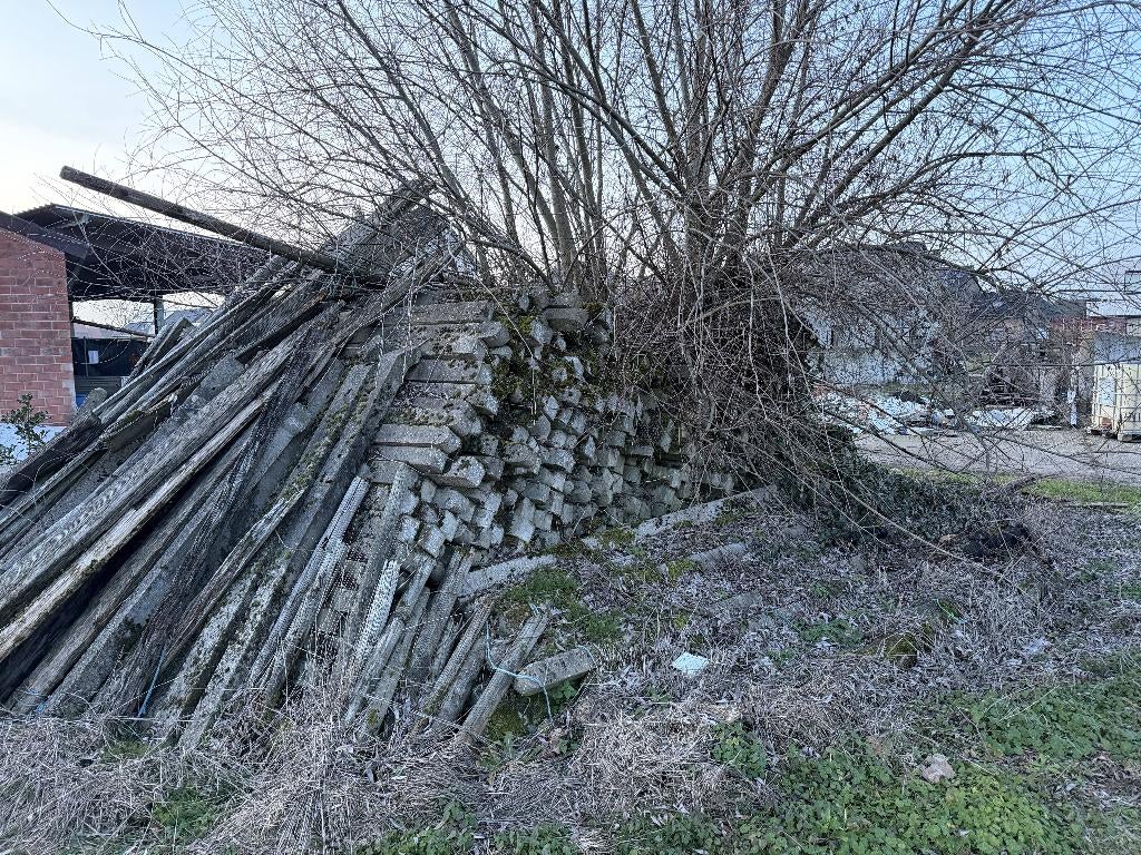 weidepalen, Dieren en Toebehoren, Weidegang