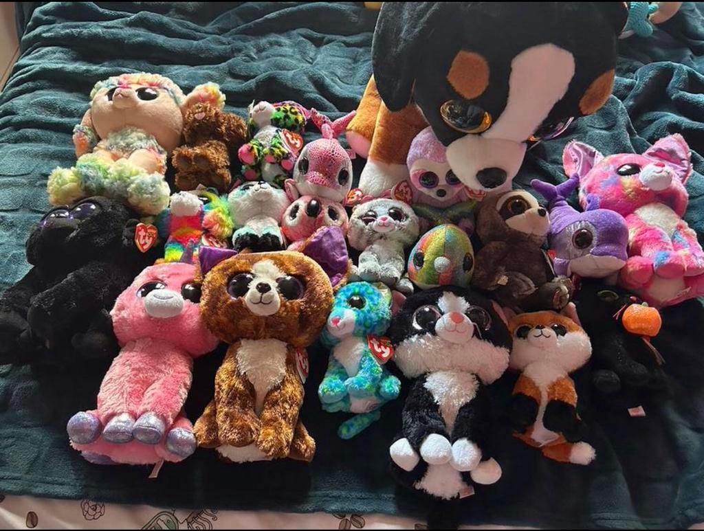 Groot lot knuffels. (+50).  Veel van merk TY, Ophalen, Zo goed als nieuw