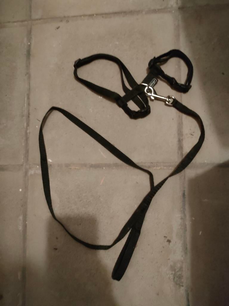 Harnais réglable pour chat avec laisse (EN available), Enlèvement, Utilisé