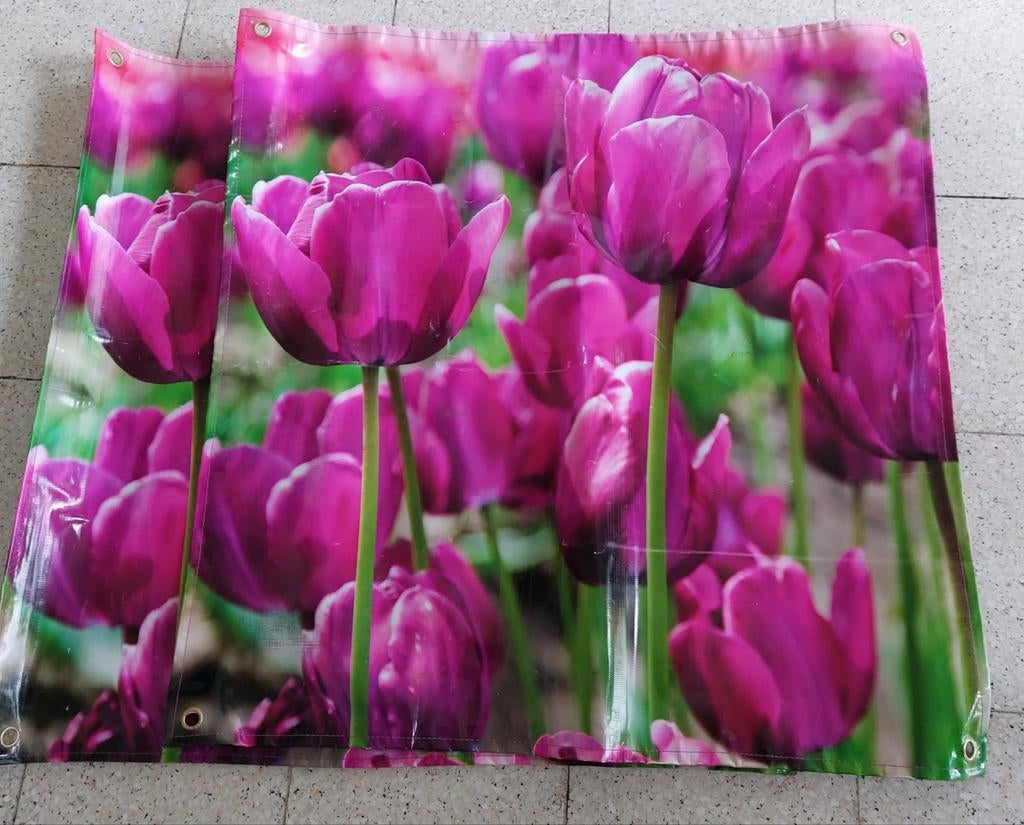 2 Canvas Tulpenlandschap 60x60 cm, Ophalen of Verzenden, Gebruikt