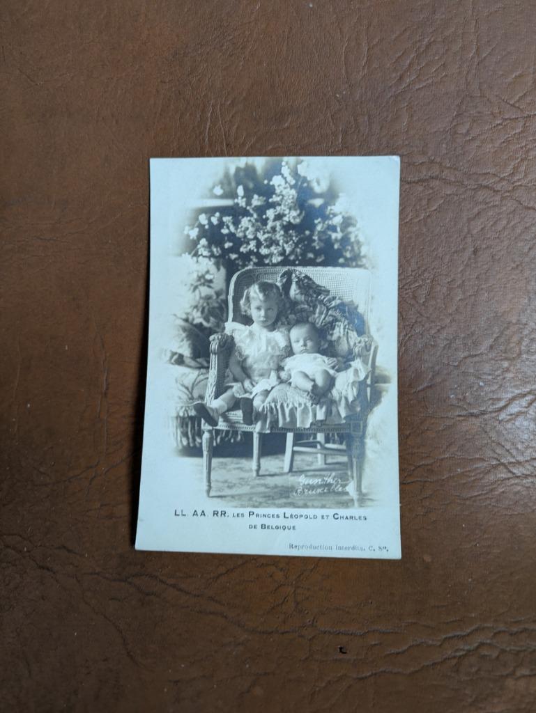 Prins Karel en prins Leopold III, Enlèvement ou Envoi, Comme neuf, Carte, Photo ou Gravure