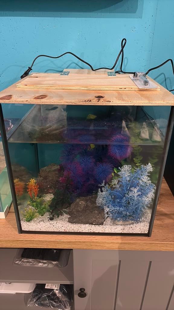 Visbak, Dieren en Toebehoren, Vissen | Aquaria en Toebehoren, Ophalen, Zo goed als nieuw