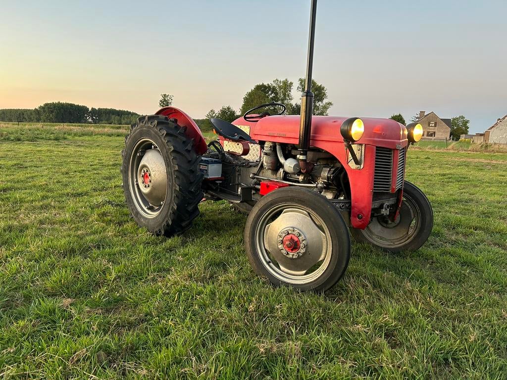 Gereserveerd - Ferguson TE 20 Diesel met Belgische papieren, Zakelijke goederen, Landbouw | Tractoren, Massey Ferguson, Oldtimer