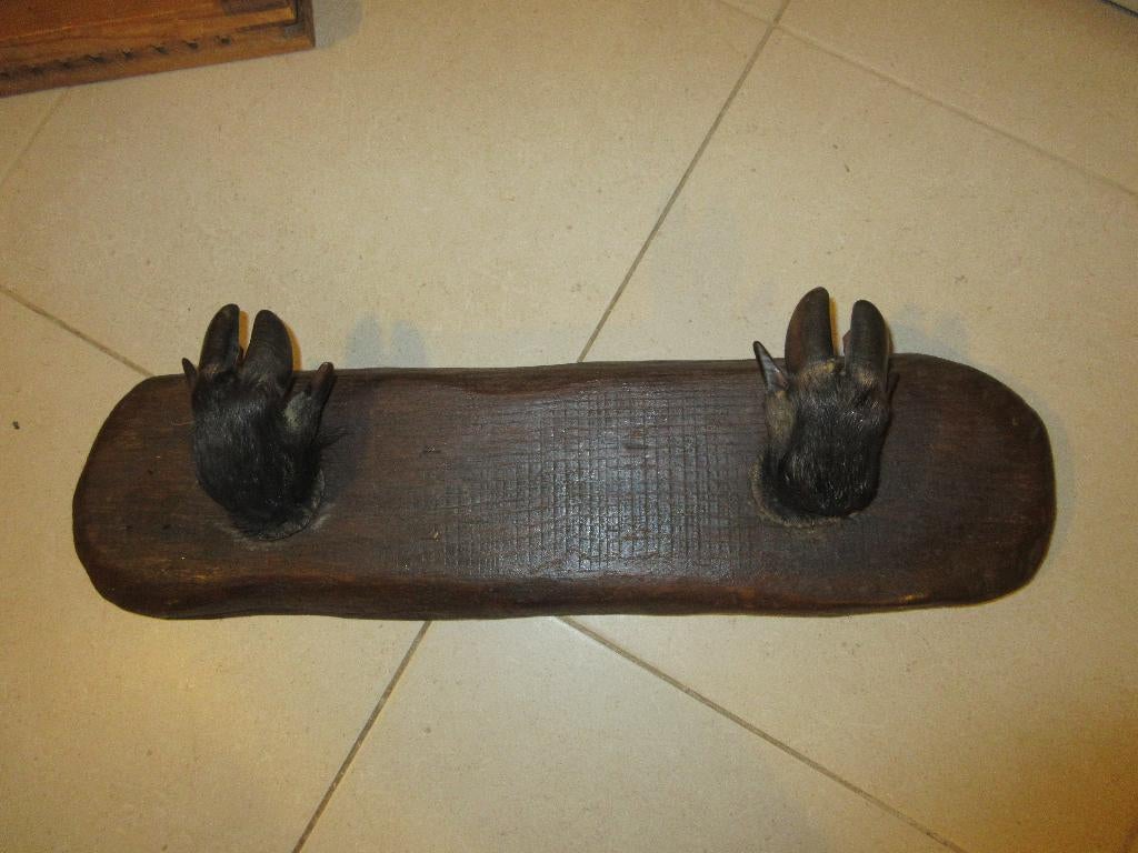 jacht kapstok met taxidermie dierenpoten jachtkapstok 63 cm, Ophalen