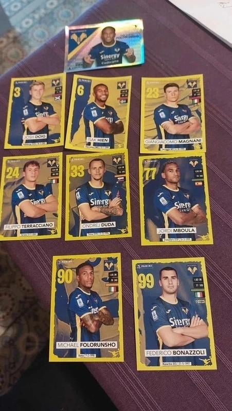 Panini / 9 Stickers / Hellas Verona / 2023-2024, Envoi, Neuf, Affiche, Image ou Autocollant