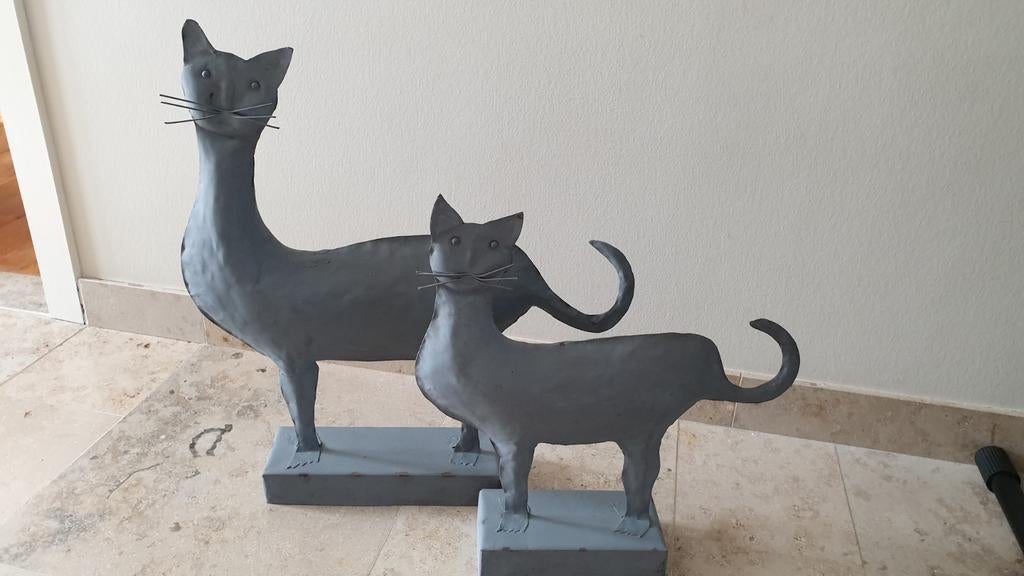 2 zinken katten, Enlèvement