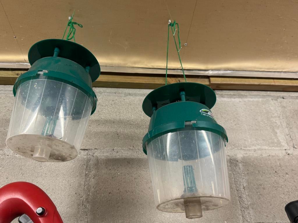 Pièges à mites en buis, Enlèvement, Comme neuf