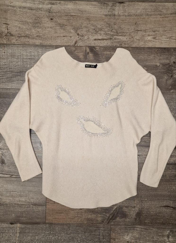 Pull femme Why Not, Ophalen of Verzenden, Zo goed als nieuw, Beige