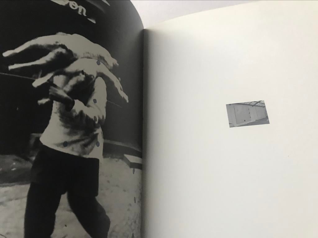 Marc Maet schilderijen 120pag, Boeken, Ophalen of Verzenden, Zo goed als nieuw, Schilder- en Tekenkunst