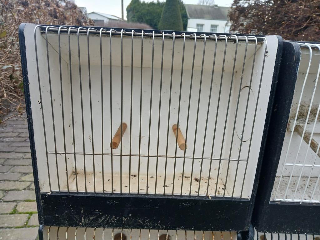 vogelkooitjes, Dieren en Toebehoren, Ophalen