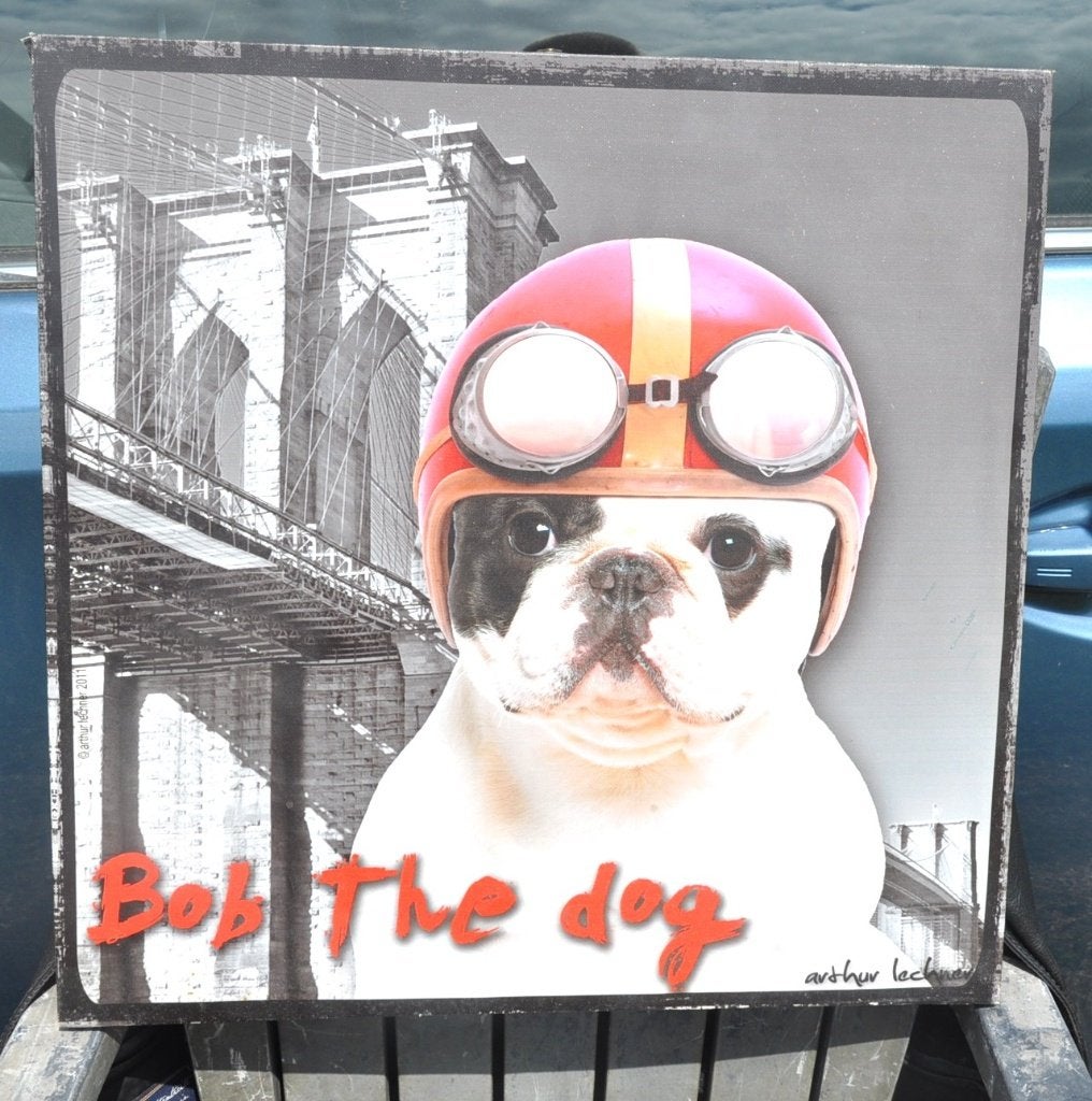 toile plastifier bob the dog, Autres styles, Enlèvement ou Envoi, Plastique, Tableau